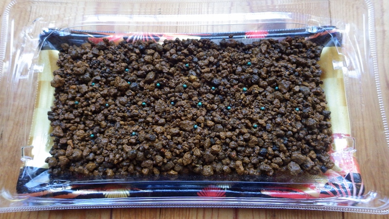 RIMG6759 (800x450)