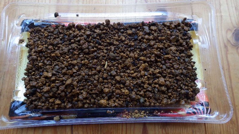 RIMG6760 (800x450)