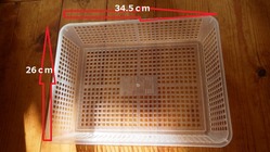 RIMG5760 (800x450)