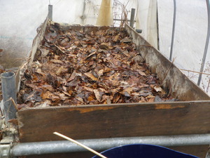 2012-02-14 10-07-42_0001