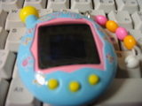 ff3028df.jpg