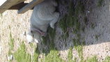 3d113d77.jpg