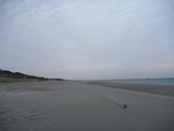 P1000163