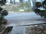 BlogPaint