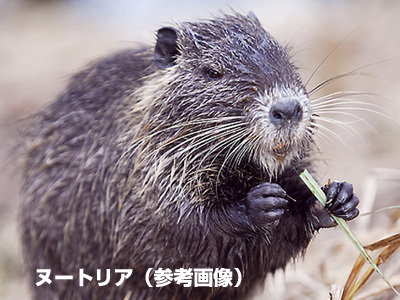 o0400030011056537970