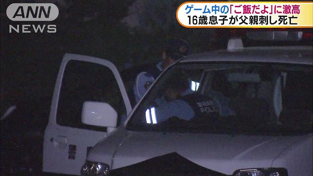 引用画像