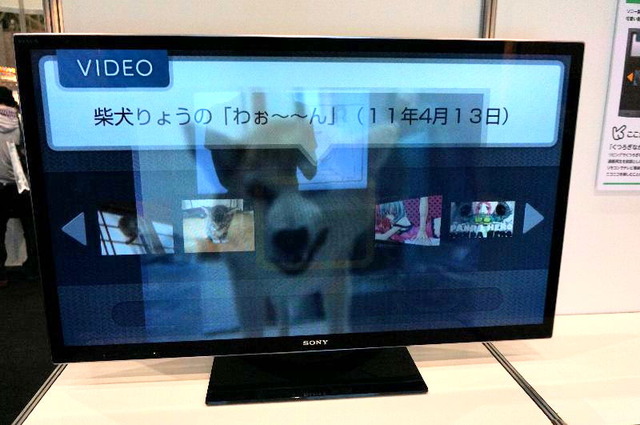 05-sasikae_big