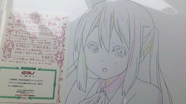 ndkzf