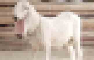 00219b7ff1c81106d4ce1e