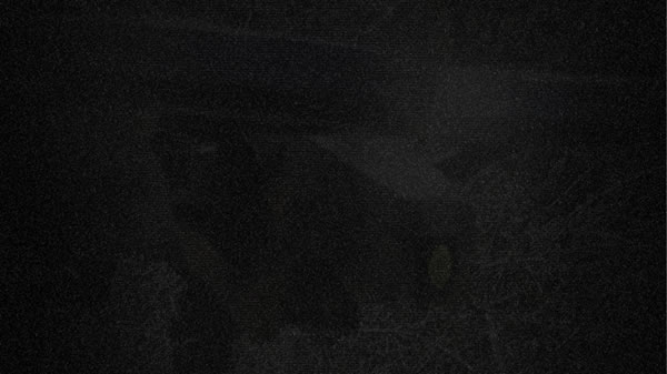 img4985_02