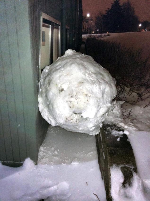 snowball15n-3-web