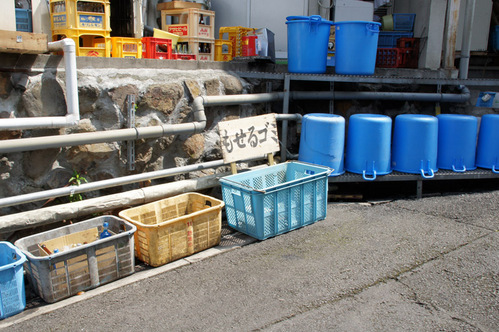 DSC00250