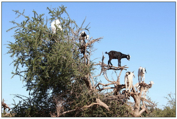 2012-02-27_125248