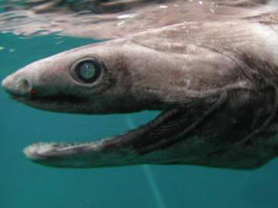 img_140199_613252_5_1187965812