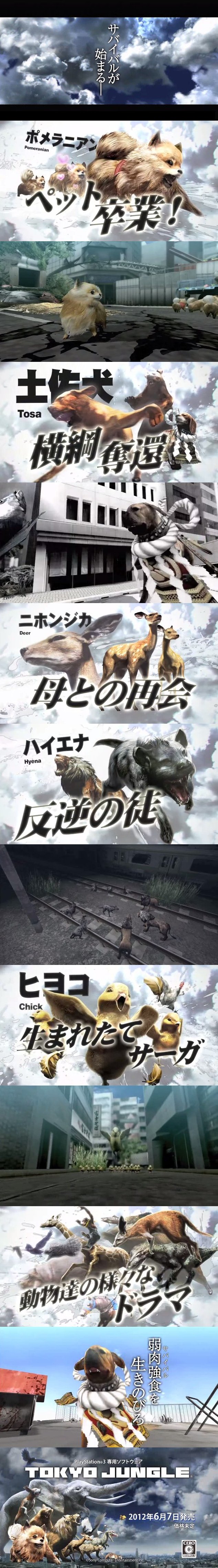 ジャングル
