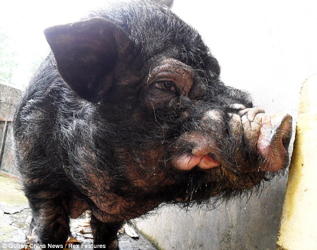 article-0-12E6748E000005DC-441_634x500