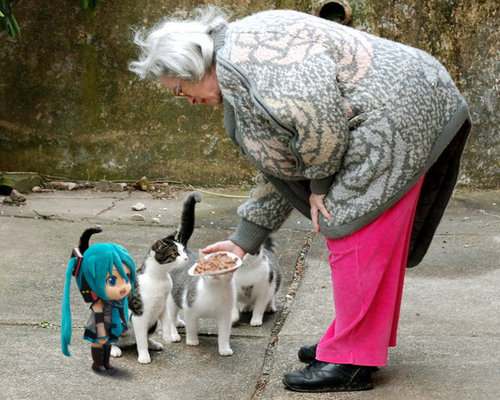 tumblr_mdjhbkBWtB1qd1ozgo1_500