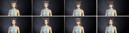 ff1
