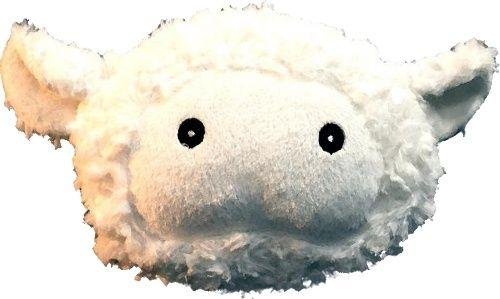 251239