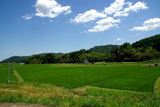 a84011b79655168f9ceb8a7887d80a24