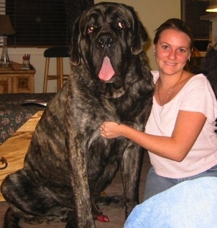 article-0-1318E183000005DC-758_634x668