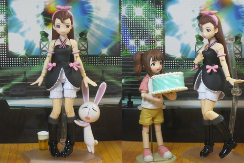imas66607