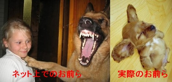 id=133