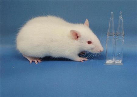 scn12041008000002-p1