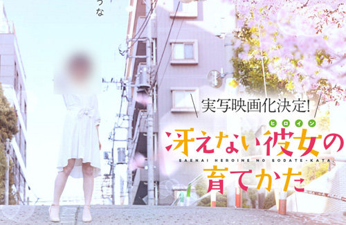 引用画像