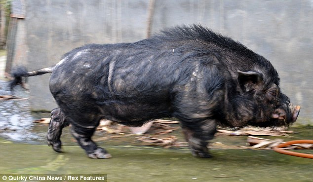 article-0-12E67494000005DC-742_634x369