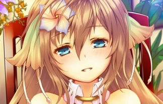 06