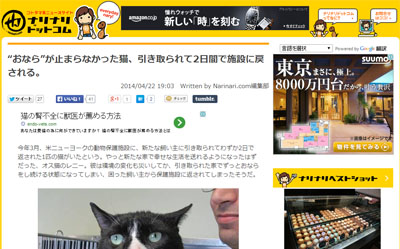 名称未設定 7