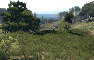 06