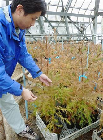 scn12050609460002-p1