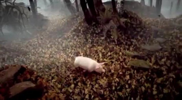 2012y04m20d_102842596