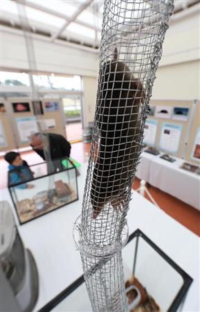 trd12042300340002-p1