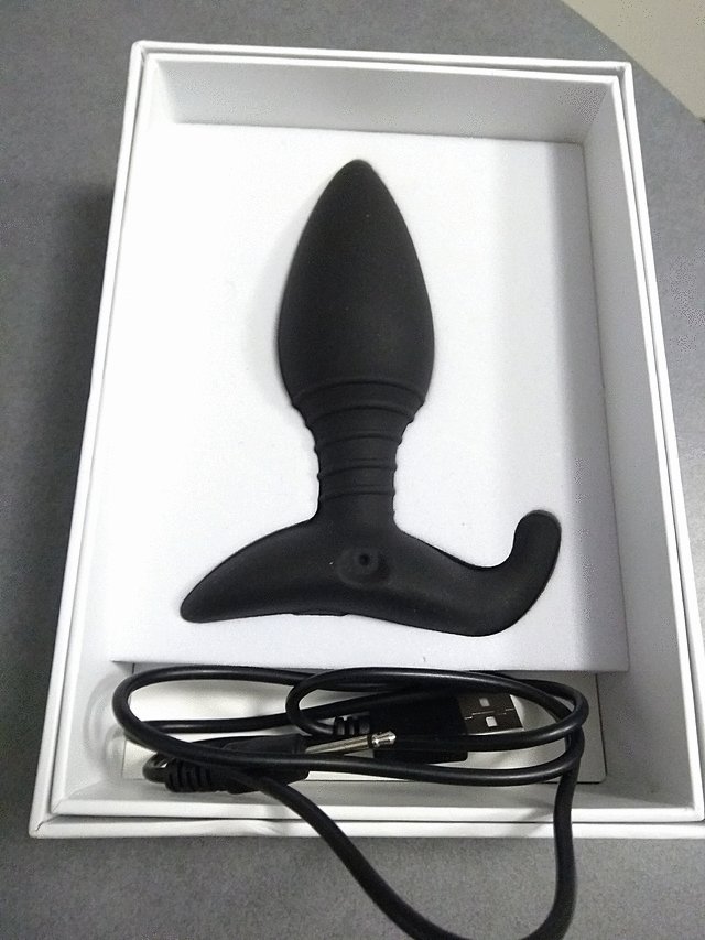 引用画像