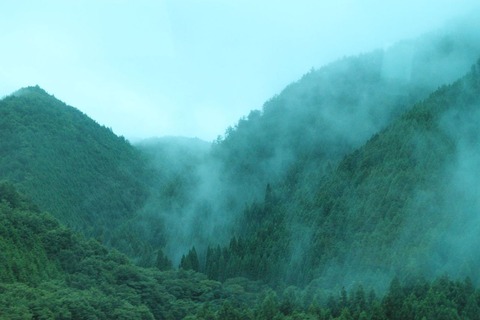 山の雨