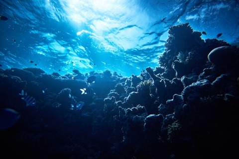 宇宙人と海