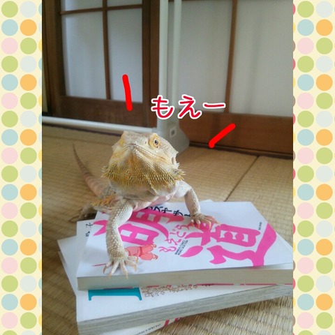 PhotoGrid_1443517807291