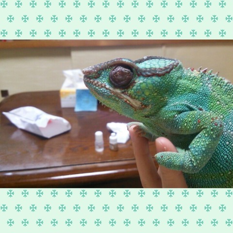 PhotoGrid_1443517685222