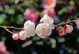 84a4b13f.jpg