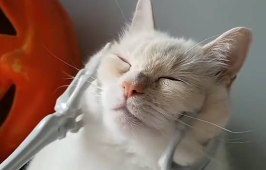 840