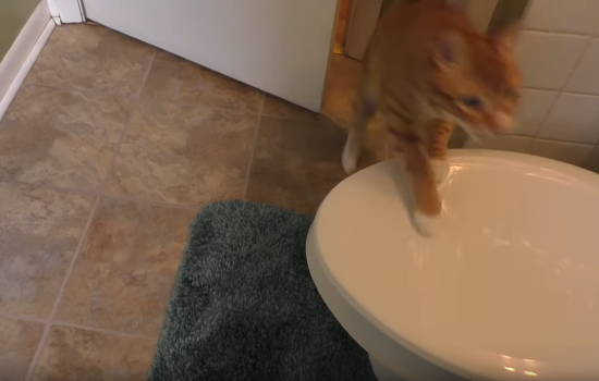 398