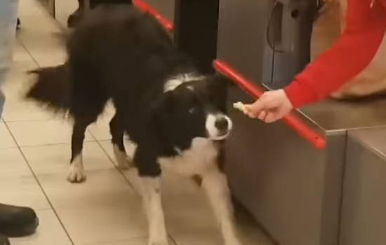 547