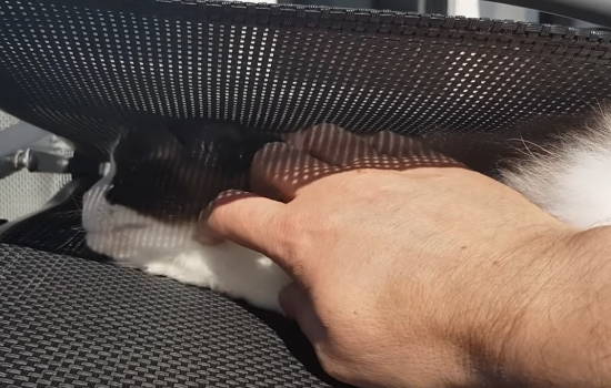 477