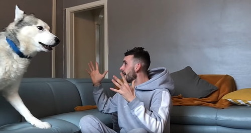 21