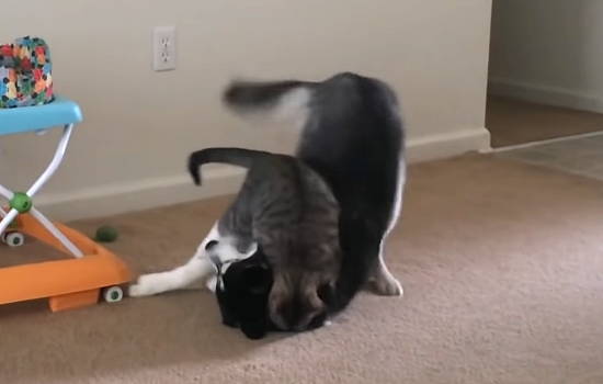 390