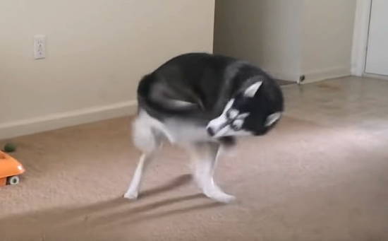391