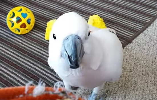 127
